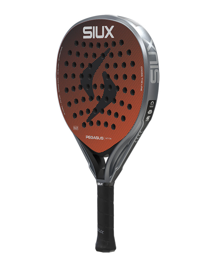 SIUX - Pegasus Elite 2026
